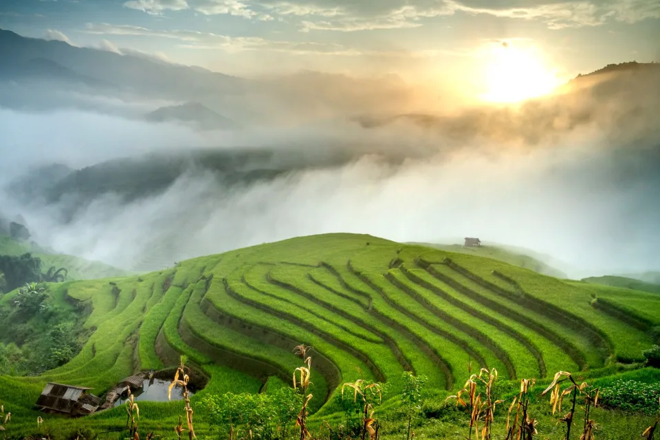 Kho gạo của Phạm Thị Dật